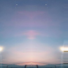 抜け殻