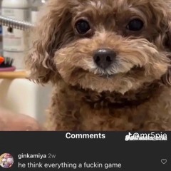 Hehe