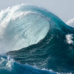 Primordial Sea