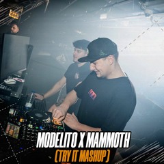 Modelito x Mammoth (Try It Mashup) | Mora, Youvngchimi x Coone