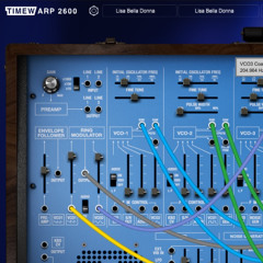 Techno in D Blues