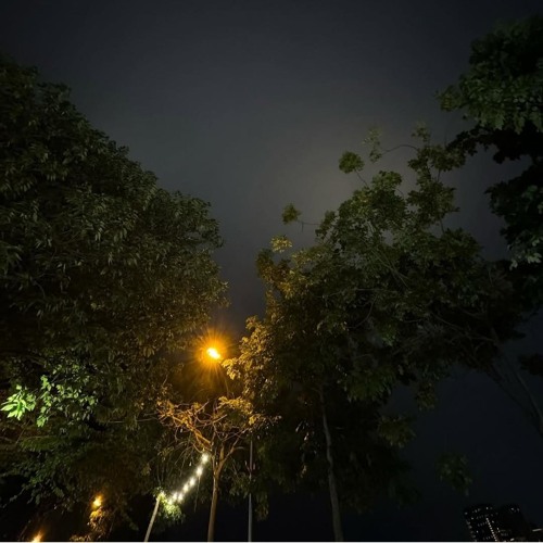 Thuốc Chống Shuy 3- ThangSoobin