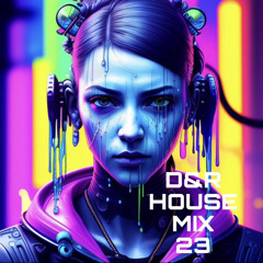 D&R Summer House Mix 23