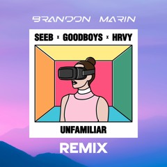 Seeb - Unfamiliar Feat. Goodboys & HRVY (Brandon Marin Remix)