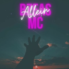 ALLEIN