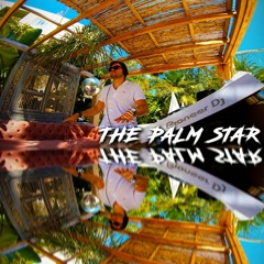 The Palm Star Ibiza Mix 16