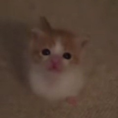 pl4ylist do play