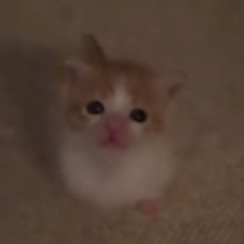pl4ylist do play