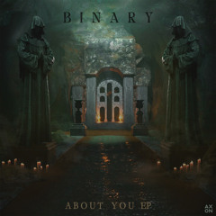 Binary - About You