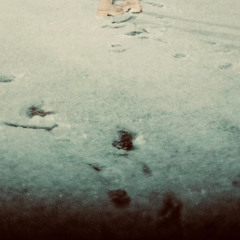 Frozen