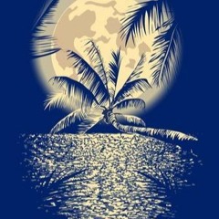 Salud - Melodic Progressive House Set Goa 2023