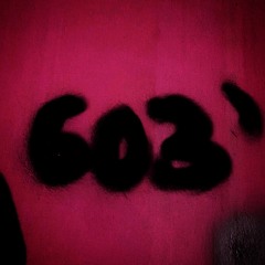 6 0 3 '