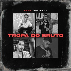 TROPA DO BRUTO