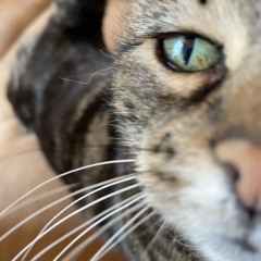 16 rap love story piano remix