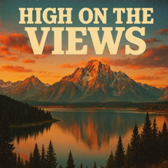 DJ Micky K - High On The Views (Bootleg Remix)