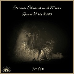 Sonne, Strand und Meer Guest Mix #243 by MLTX