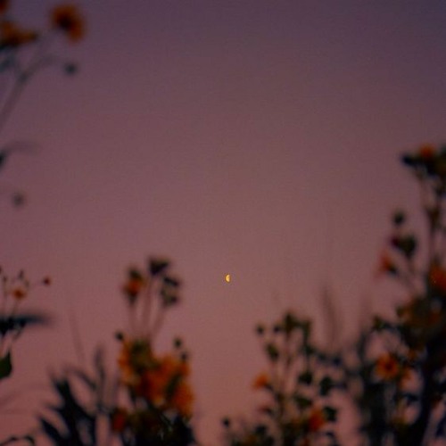 See Dee - Whoever We Be