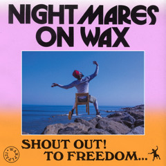 Nightmares on Wax - 3D Warrior (Echo Juliet remix - Metapop competition entry)
