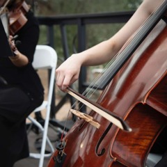 Can’t Help Falling in Love (Elvis Presley) - Sample