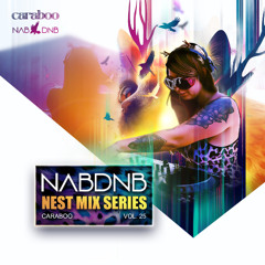NAB DNB NEST MIX SERIES [CARABOO] - VOL 25