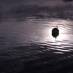 I had to wait for myself