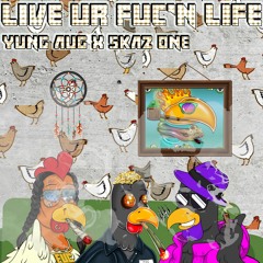 The Game of Life