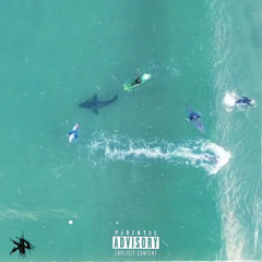 KP GRETZKY - FOR THE SHARKS