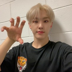 200319 HOSHI playing with auto tune (singing horanghae song)