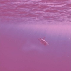 Where Is My Mind (slowed + Reverb) (piano Version)