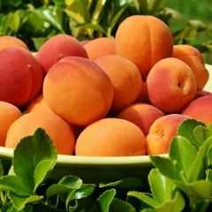 Peachy - Half.cool (1)