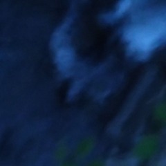 多分蕾に雷に感化されすぎた人間