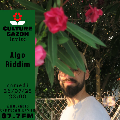 Algo Riddim - 26 juillet 2025