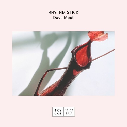 Skylab Radio - Rhythm Stick EP 6 - Pep talk