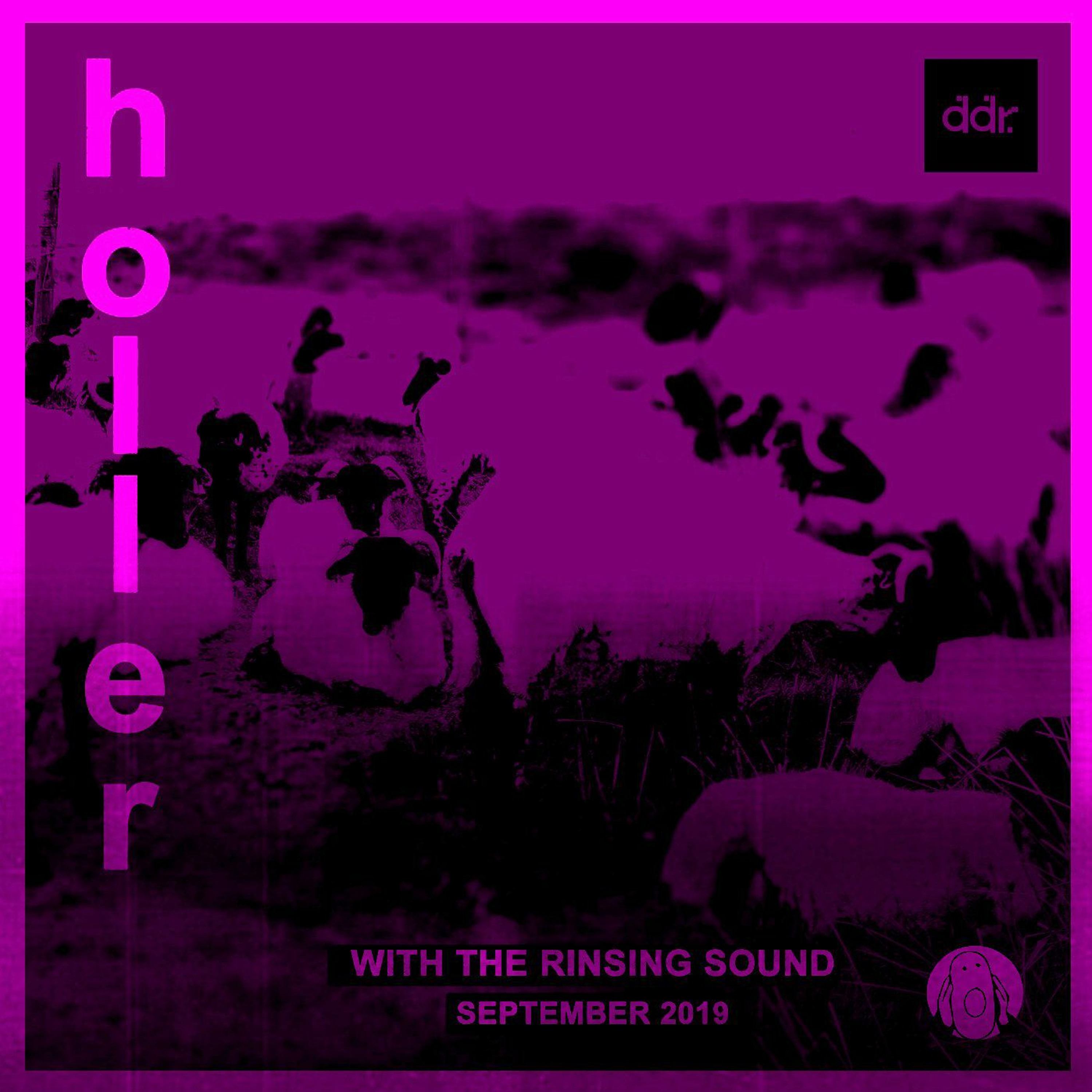 Holler Radio On DDR