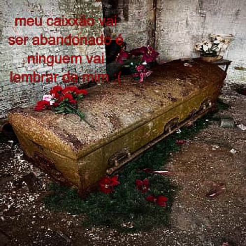 eu perdi minha vaidade