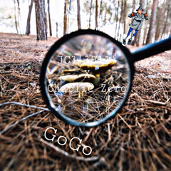 GOGO - JC3(3011) x Charlie Zero