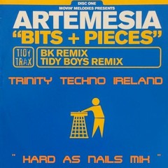 FREE DOWNLOAD / ARMETISIA - TRINITY'S - BITS N PIECES ( HARD AS NAILS MIX 2023 )