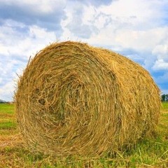 Country Pop Type beat - Haystack.mp3