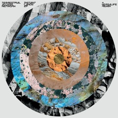 PREMIERE: Terrestrial Access Network - Endless Dunes (LDI Records)