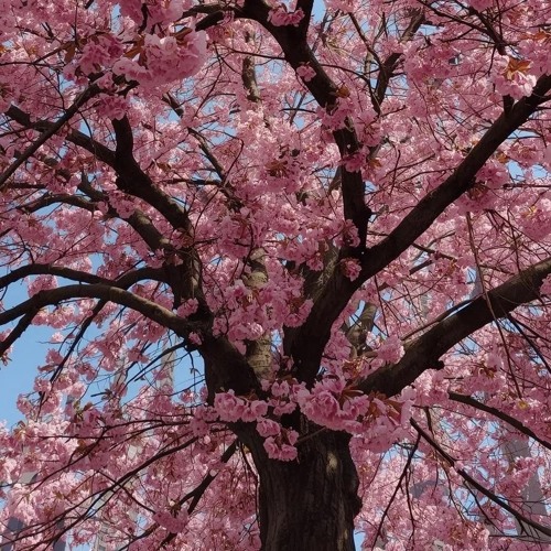 conversate (prod. jorko + aloa)