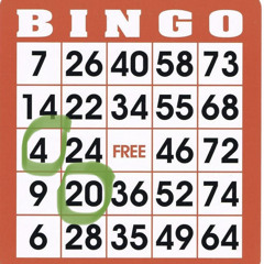 BINGO ft Rollit and Blu