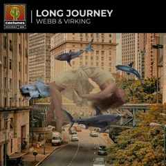 Webb & Virking - Long Journey (Original Mix)