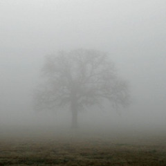 Sorrow