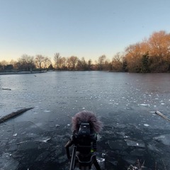 Norman 3 Was A Song I Once Heard