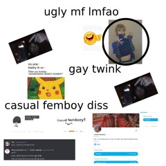 CASUAL FEMBOY DISSTRACK (read desc and repost plz)