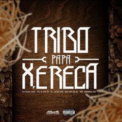 TRIBO PAPA XERECA - MC’s MK DA ZL , JUNINHO GS ( DJ’s JV DO SG , JL DO TP , DOIS JOTA ) C.P.X