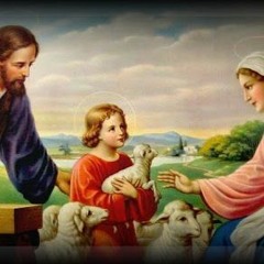 Papa Francisco: Fe y Familia
