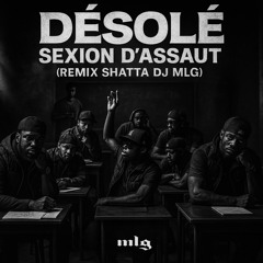 Désolé - Sexion D'assaut ( Remix Shatta Dj MLG ) FILTRER