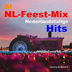 Nederlandstallige Hits in de Mix