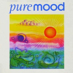Pure Mood Show - Radio Buena Vida
